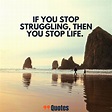 99 Quotes about Life and Struggle You Should Learn