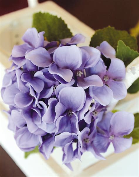 We did not find results for: Künstliche Hortensie, 27 cm, lavendel