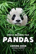 Pandas Movie Information, Trailers, Reviews, Movie Lists by FilmCrave