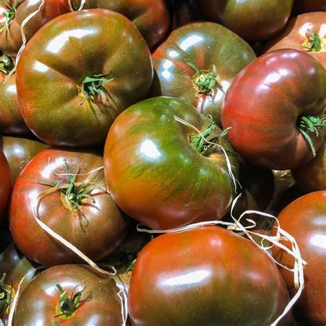 Tomato Black Krim Seeds The Seed Collection