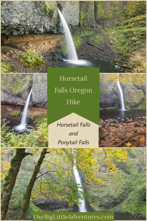 Horsetail Falls Oregon Easy Columbia River Gorge Hike Our Big