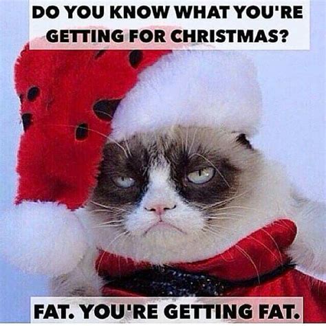 Grumpy Cat Do You Know What You Are Getting For Christmas