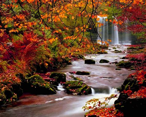 Free Download Cool Fall Backgrounds 1920x1080 For Your Desktop