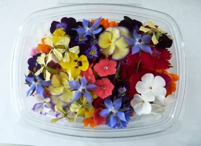 Maybe it's a birthday or a holiday, but your special someone needs a. Edible Flowers: Part Eleven - Eat The Weeds and other ...