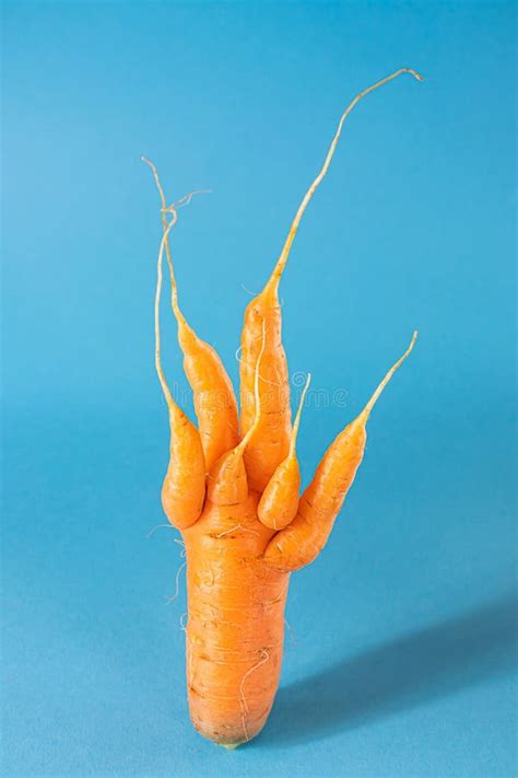 Strange Funny Shaped Carrots On A Blue Background Stock Image Image Of Shape Background