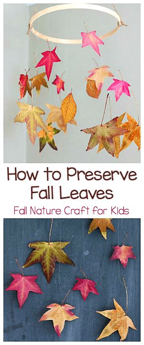 How To Preserve Leaves Fun Fall Craft For Kids Buggy And Buddy