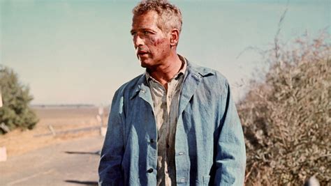 Cool Hand Luke Thr S 1967 Review Hollywood Reporter