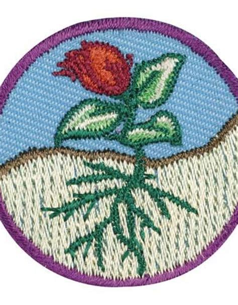 Girl Scouts Of The Usa Junior Flowers Badge Girl Scouts Of Silver