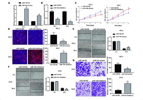 mir 144 inhibited crpc cell proliferation and cell invasion a download scientific diagram