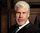 Ron Perlman Biography - Facts, Childhood, Family Life & Achievements