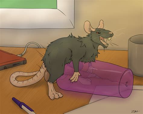 Rule 34 Balls Big Penis Male Male Only Mammal Open Mouth Penetrable Sex Toy Penis Rat Rodent