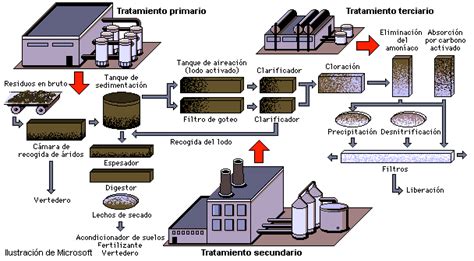 Etapas Del Proceso De Tratamiento Tratamiento De Aguas Residuales