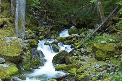 Small Creek Waterfalls Free Photo