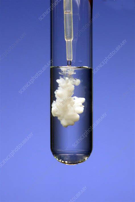 Barium Sulphate Precipitation Stock Image A5000768 Science Photo