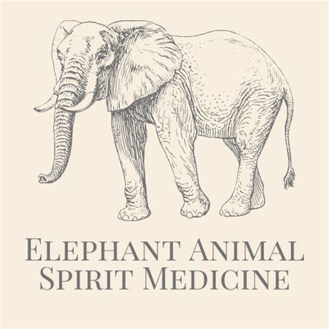 Animal Spirit Totem Blog Spirit Animal Guide Teachings Card Readings