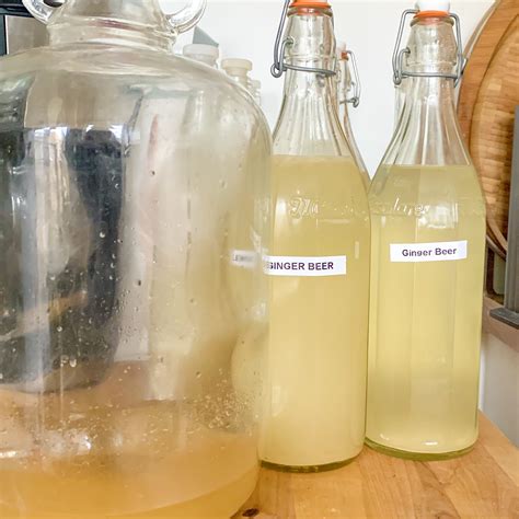 Food From Ashley Ginger Plant Starter How To Make Homemade Ginger Beer