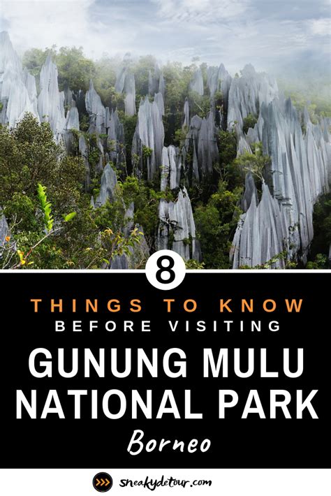 Gunung Mulu National Park What You Must Know Gunung Mulu National
