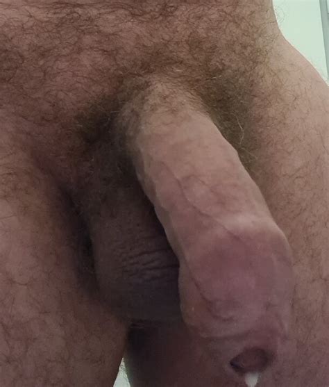 Daddy Bear Jerks His Fat Uncut Cock On Public Toilet With Thick Cumshot
