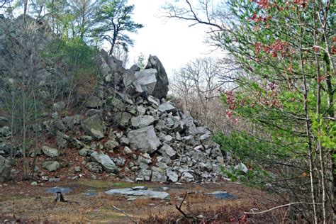 The 13 Most Terrifying Haunted Forests In The World