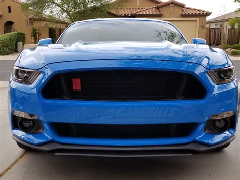 2015 2017 Ford Mustang Gt Mesh Grill Insert Kit By Customcargrills