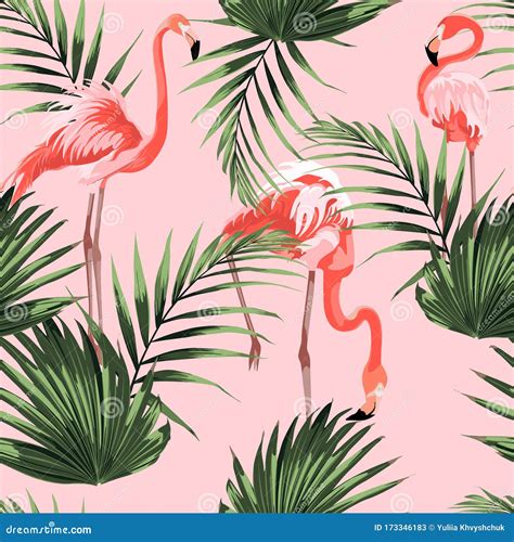 Colorful Flamingo Seamless Background Cartoon Vector Cartoondealer
