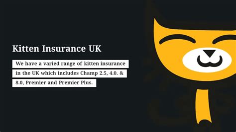 Best Dog Insurance UK - YouTube