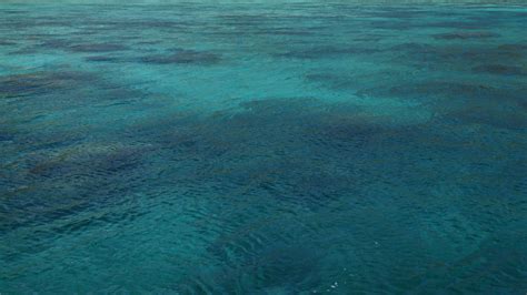 48 1080p Wallpaper Ocean On Wallpapersafari