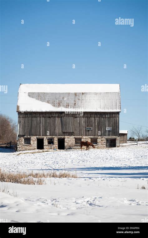 A Barn And Horses Stock Photo Alamy