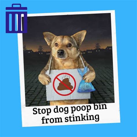 How To Keep Dog Poop From Smelling Up Garage And Tricks Oodle Life