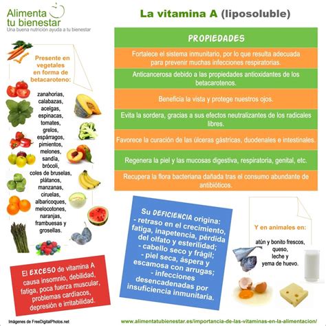 La Importancia De Las Vitaminas En La Alimentaci N