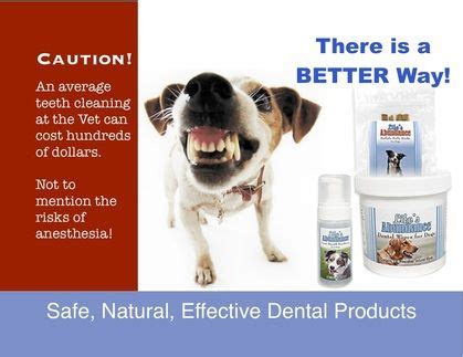 We carry a wide selection of cat dental care products such as cat dental supplements, toothbrushes, tooth wipes, dental treats and more to help make the process less stressful on both you and your cat. February is National Pet Dental Month! An average teeth ...