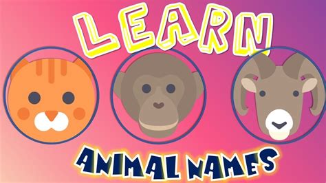 Learn Animal Names Kids Tv Youtube