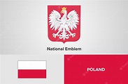 Plantilla de la bandera del emblema nacional de polonia | Vector Premium