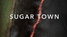 Watch Sugar Town Streaming Online on Philo (Free Trial)