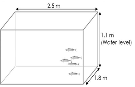 Fish Tank Size Calculation Dimensions Volume Petaddon