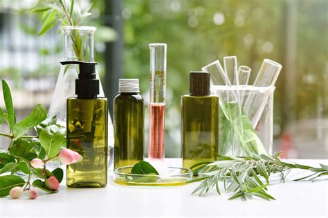 Vegetarian And Vegan Certifications For Green Beauty Products