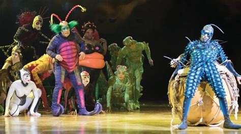 Cirque Du Soleil Brings World Of Bugs To Loveland Longmont Times Call