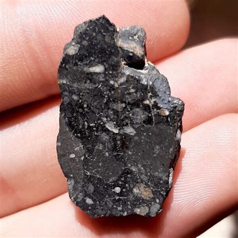 Lunar Meteorite Rock From The Moon Paired With Nwa 11474 Endcut