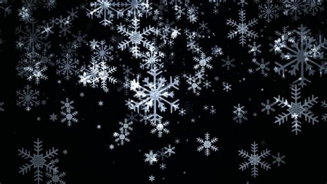 Snowflakes Falling On Black Background Stock Footage Video 100