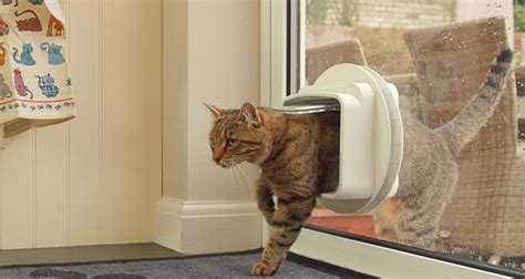 Since both viagen and sooam are private companies they don't have to. How Much Does a Pet Flap Cost?