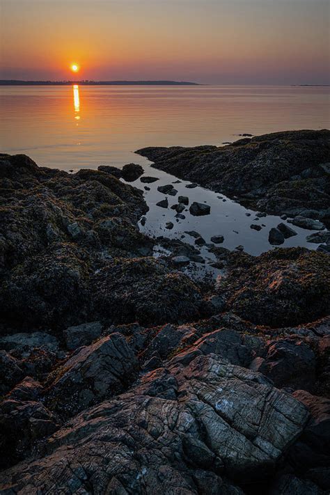 Sunrise By The Ocean Photograph By Bill Cubitt Fine Art America
