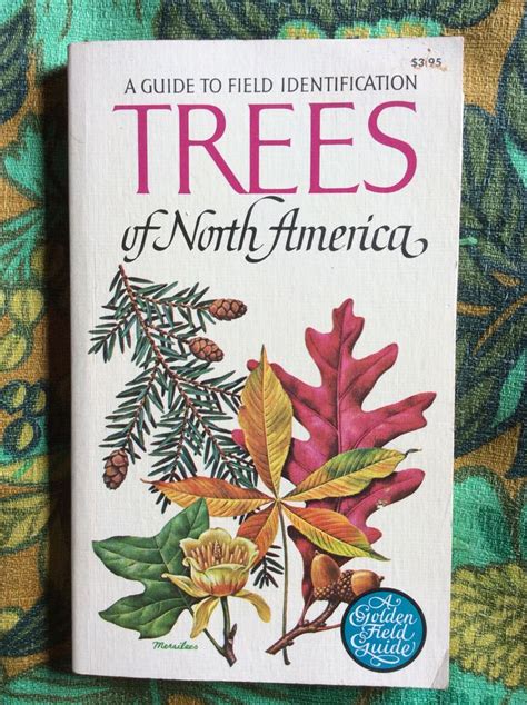 Trees Of North America A Guide To Field Identification C Frank