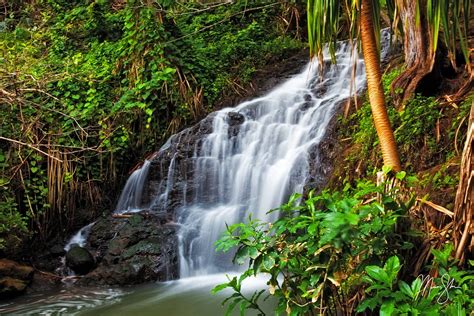 Hawaiian Waterfalls | Queen's Bath, Princeville, Kauai, Hawaii | Mickey ...