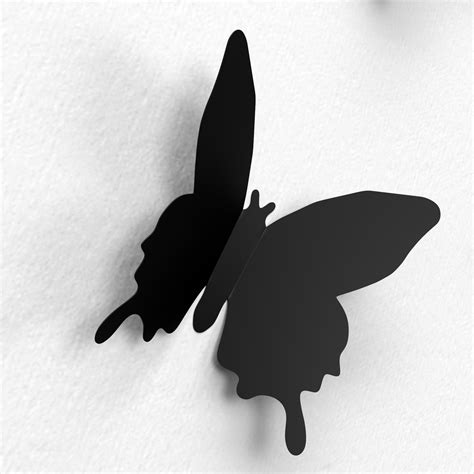 Free Images Silhouette Wing Black And White Leaf Wall Color