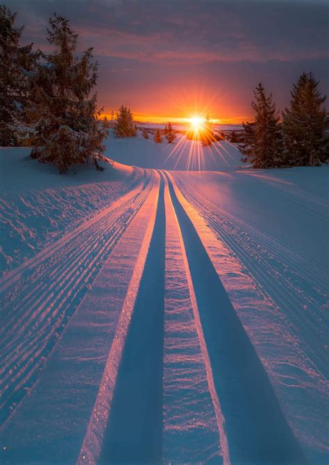 Beautiful Winter Sunset Rnaturepics