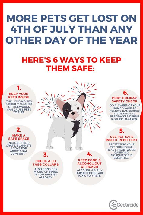 Keep Your Pet Safe And At Home This 4th Of July With These Tips Dogs
