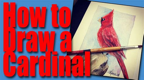 How to read a barometer. How to draw a Cardinal - YouTube