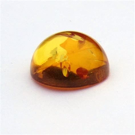 Amber 12mm Baltic Round Natural Cabochon Semi Precious