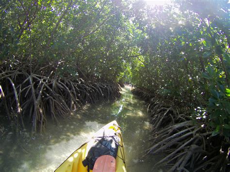 Eco Adventures In Mauritius Sea Kayaking To Amber Island