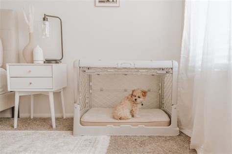 Modern Dog Crates 7 Stylish Safe Havens Great Pet Living